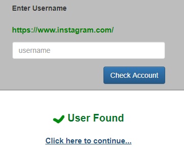 enter instagram user name